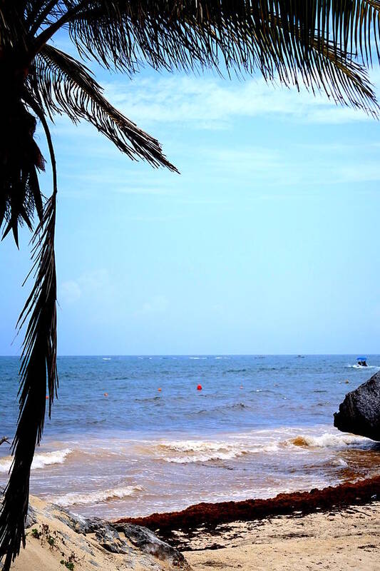 Mexico Art Print featuring the photograph Mexican Beach by Laurie Perry