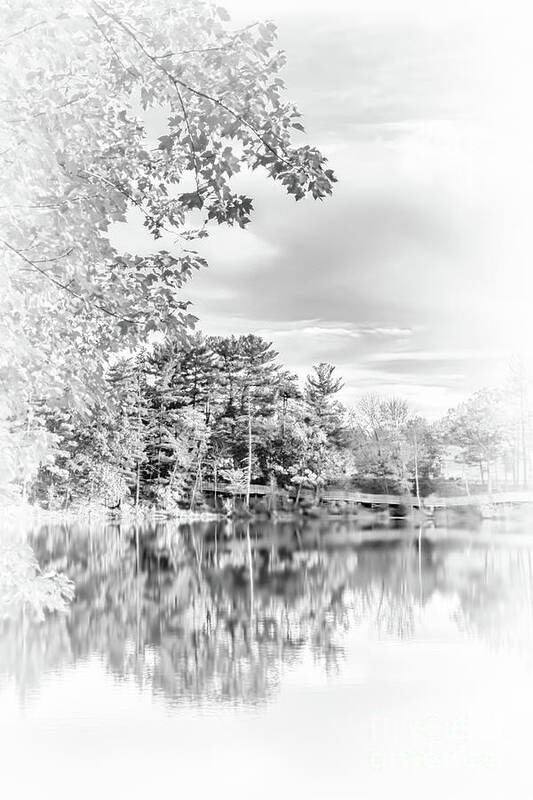 Mine Falls Park Art Print featuring the photograph Minimalist Fall Scene in Black and White by Anita Pollak