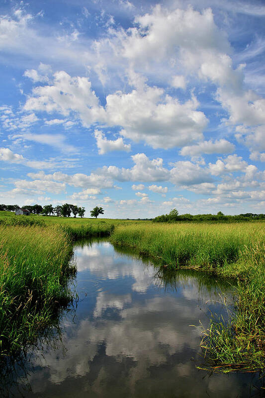 Glacial Park Art Print featuring the photograph Mirror Image of Clouds in Glacial Park Wetland by Ray Mathis