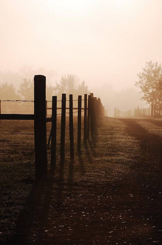 Misty Morning Art Print featuring the photograph Misty Morning by Robert Meanor