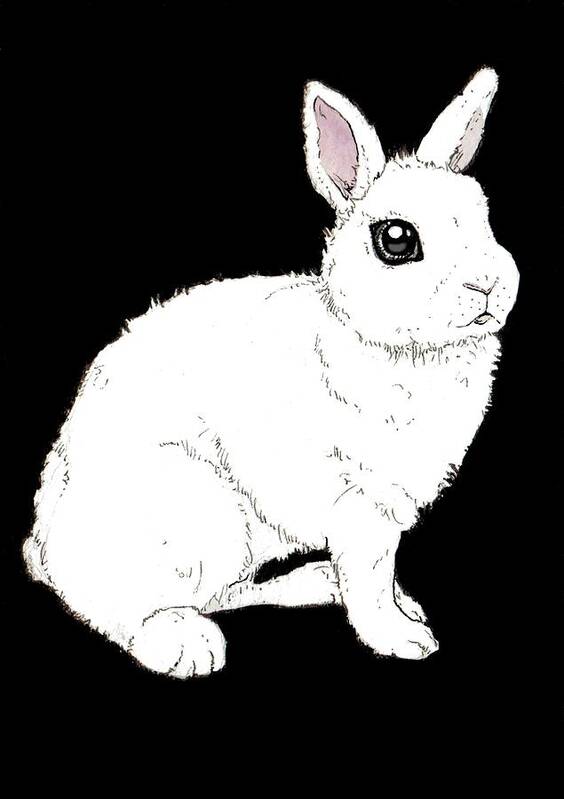 Rabbit Art Print featuring the painting Monochrome Rabbit by Katrina Davis
