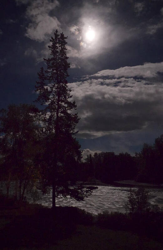 Moon Art Print featuring the photograph Moonlight on the River by Mary Lee Dereske