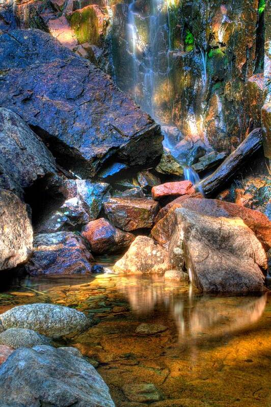 Water Art Print featuring the photograph Mountain Stream by Greg DeBeck