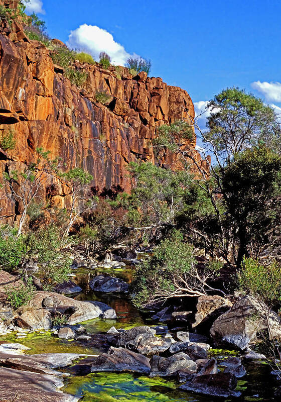 Central Australia Art Print featuring the photograph Mt Hay Creek - Central Australia by Steven Ralser