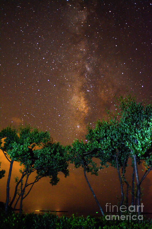Milky Way Art Print featuring the photograph My Milky Way by Quinn Sedam
