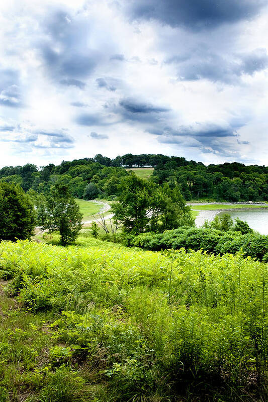 Nature Art Print featuring the photograph Mystic Hillside by Greg Fortier