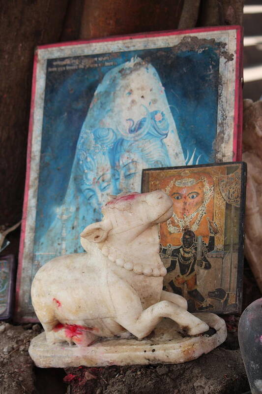 Nandi Art Print featuring the photograph Nandi, Haridwar by Jennifer Mazzucco