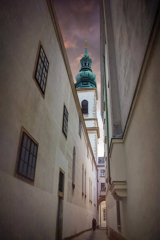 Vienna Art Print featuring the photograph Narrow Alley in Vienna Old Town Austria by Carol Japp