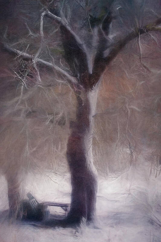 Tree Art Print featuring the photograph Nor'easter #3 by Kate Hannon