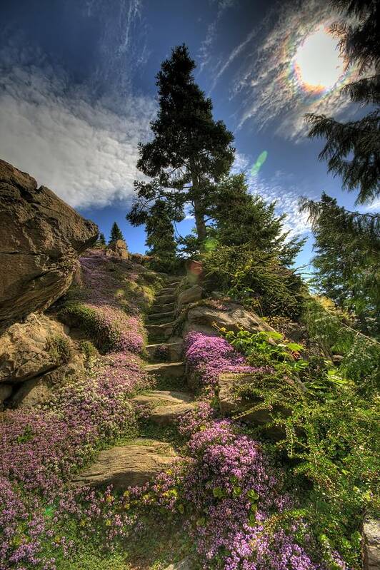 Hdr Art Print featuring the photograph Ohme Gardens by Brad Granger