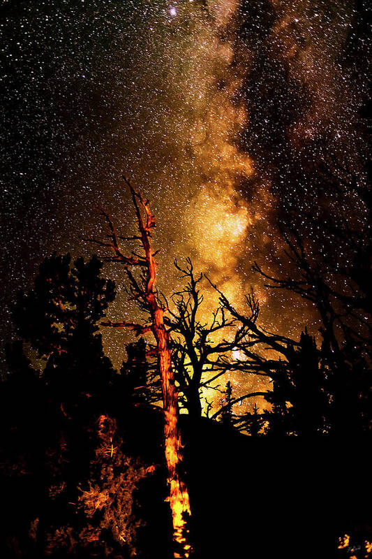 Milky Way Art Print featuring the photograph Old and Older by Greg Norrell