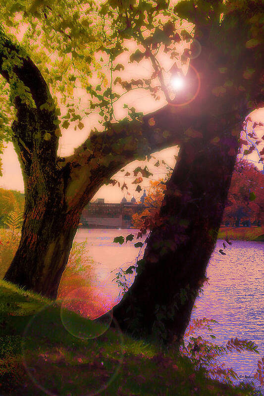 Trees Art Print featuring the digital art On The Bank by Kathy Besthorn