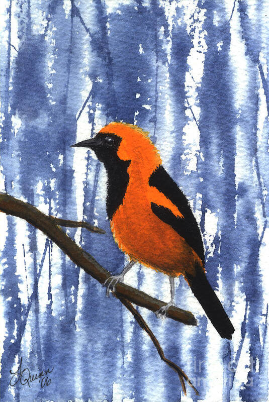 Bird Art Print featuring the painting Orange-headed Oriole by Lynn Quinn