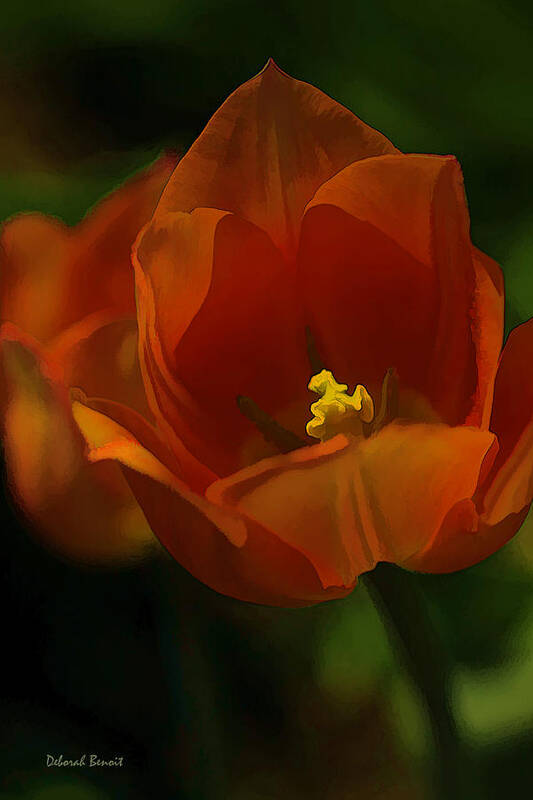 Flower Art Print featuring the photograph Orange Tulip Art by Deborah Benoit