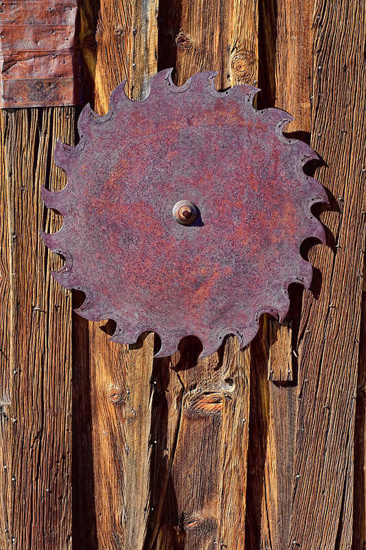 Saw Blade Art Print featuring the photograph Ornamental by Kelley King