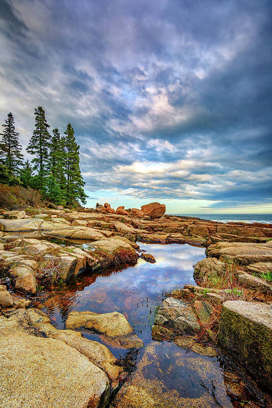 Maine Art Print featuring the photograph Otter Point Reflections by Rick Berk