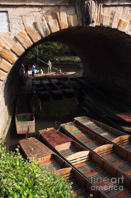 At Art Print featuring the photograph Oxford punts by Andrew Michael