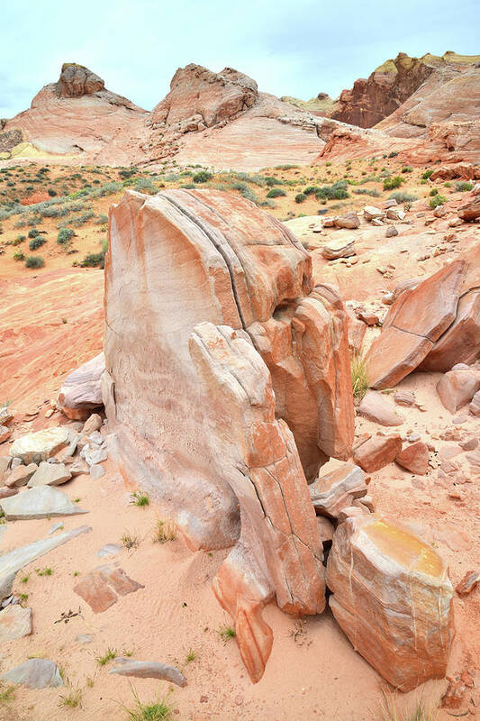 Valley Of Fire State Park Art Print featuring the photograph Pages of Stone in Valley of Fire by Ray Mathis