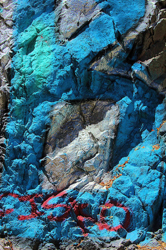 Painted Rock In Blue And Grey Art Print featuring the photograph Painted Rock In Blue and Grey by Viktor Savchenko