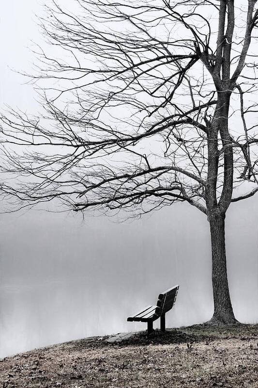 Greg Jackson Art Print featuring the photograph Park Bench and Leafless Tree in Fog - Hi-Key by Greg Jackson