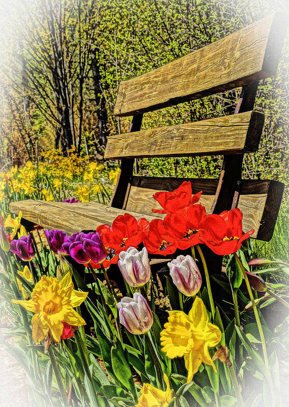 Spring Art Print featuring the photograph Park Bench w/ Spring Flowers by Dennis Cox