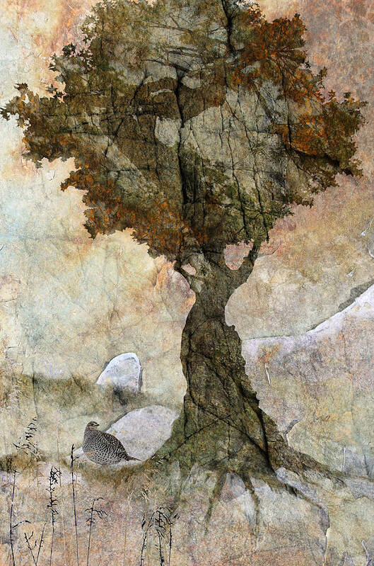 Tree Art Print featuring the photograph Pastoria - Year of the Dragon by Ed Hall