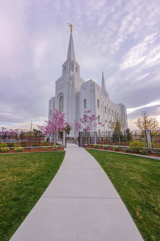 Brigham City Temple Art Print featuring the photograph Path to Salvation by Dustin LeFevre