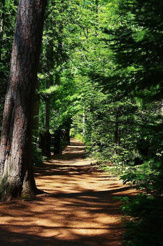 Pathe Art Print featuring the photograph Pathway to Peacefulness by Bruce Bley