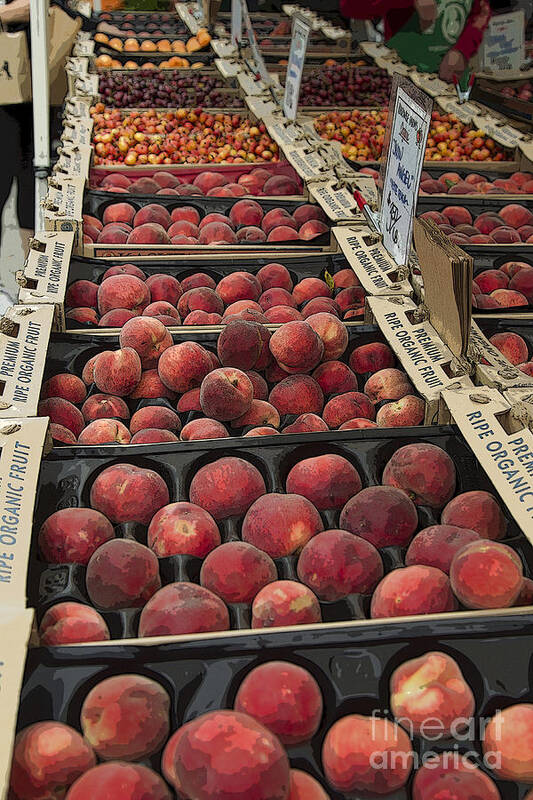 Market Art Print featuring the photograph Peaches and by Jeanette French