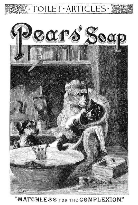1888 Art Print featuring the photograph Pears Soap Ad, 1888 by Granger