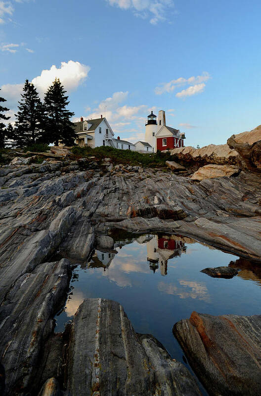 Pemaquid Point Light Art Print featuring the photograph Pemaquid Point Light by Colleen Phaedra