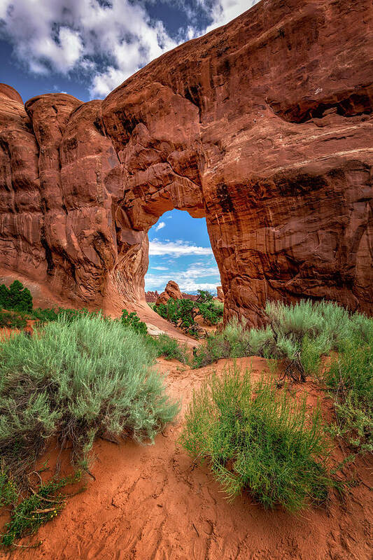 Utah Art Print featuring the photograph Pinetree Arch by Michael Ash