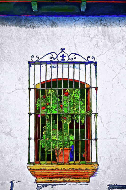 Architecture Art Print featuring the photograph Plant on Window by Maria Coulson