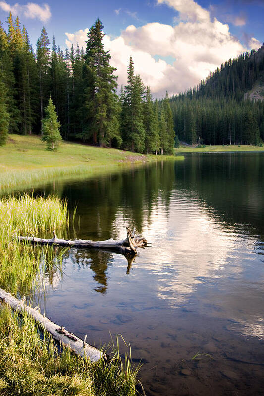 Aspen Art Print featuring the photograph Poage Lake by Lana Trussell