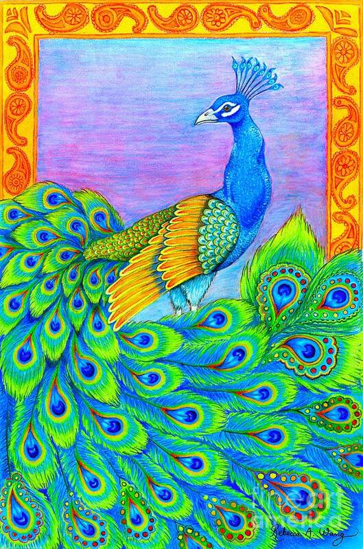 Peacock Art Print featuring the drawing Pretty Peacock by Rebecca Wang