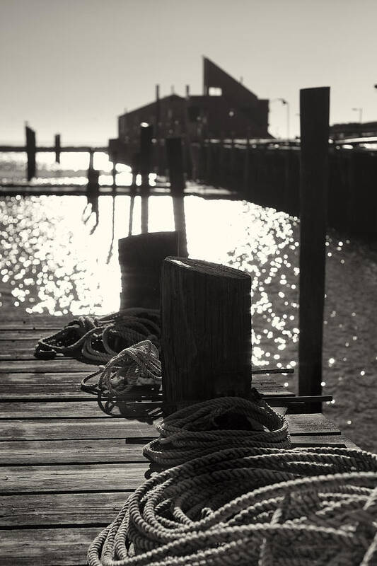 Provincetown Art Print featuring the photograph Provincetown Marina by Darius Aniunas