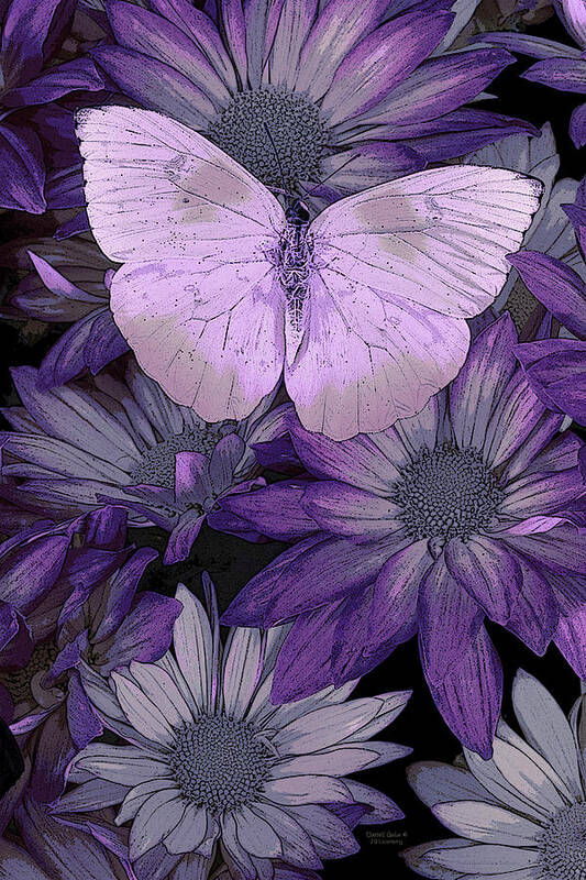 Butterfly Art Print featuring the painting Purple Butterfly by JQ Licensing