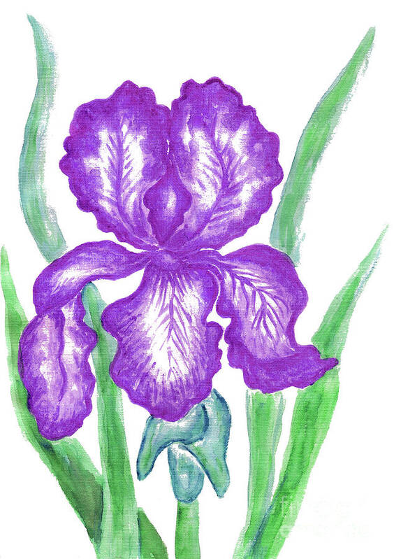 Visual Art Print featuring the painting Purple iris by Irina Afonskaya