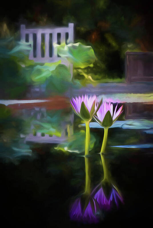 Garden Art Print featuring the photograph Quiet Garden Water Lily by Georgette Grossman