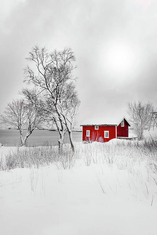 Norway Art Print featuring the photograph Red Solitude by Philippe Sainte-Laudy
