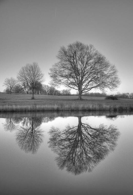 Landscape Art Print featuring the photograph Reflection x 3 by David Waldrop