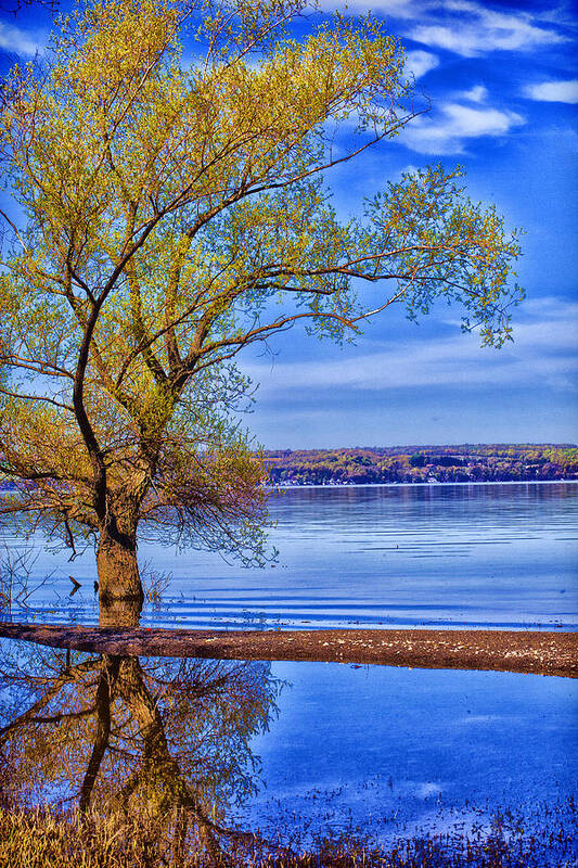 Lake Art Print featuring the photograph Reflections of Spring by Monroe Payne