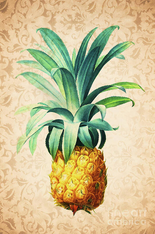 Pineapple Art Print featuring the drawing Retro Pineapple by Delphimages Photo Creations