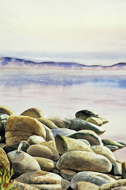 Rocks Art Print featuring the painting Rocks Water Reflections by Irina Sztukowski