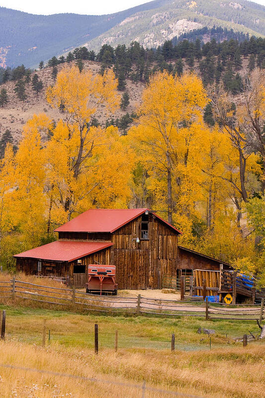 Rustic Art Print featuring the photograph Rocky Mountain Barn Autumn View by James BO Insogna