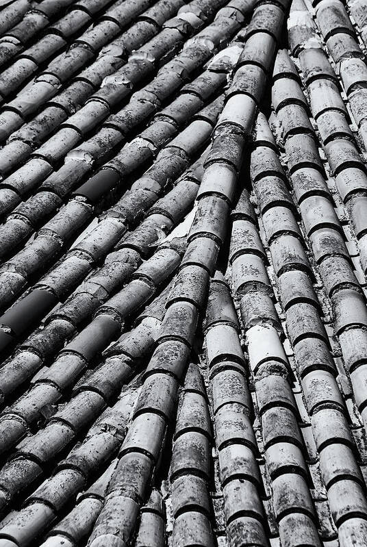 Roof Art Print featuring the photograph Roof Tiles by Jeff Townsend