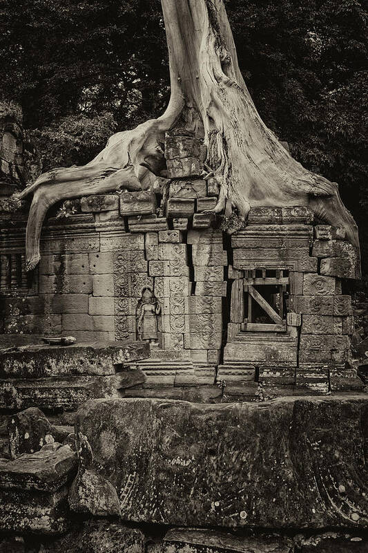 Angkor Art Print featuring the photograph Roots In Ruins 5, Ta Prohm, 2014 by Hitendra SINKAR