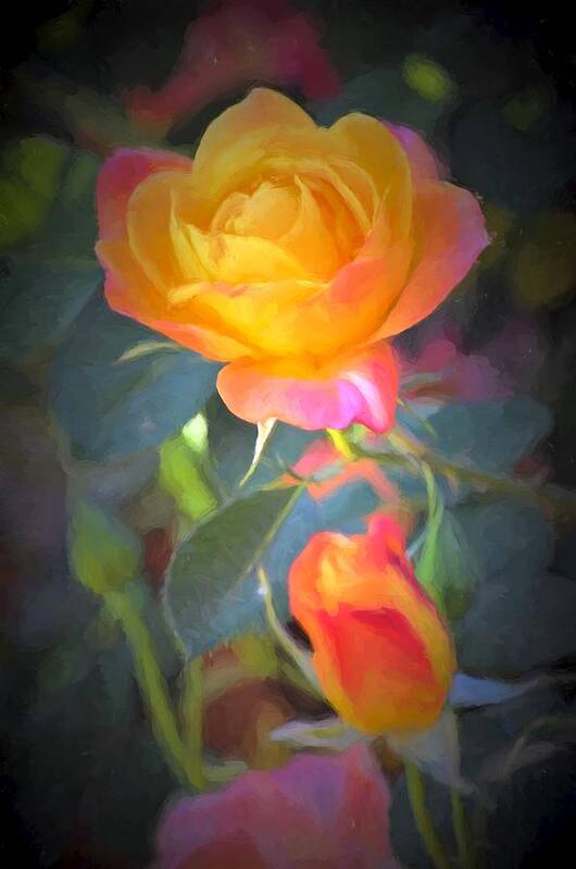 Floral Art Print featuring the photograph Rose 335 by Pamela Cooper