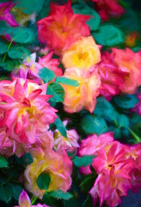 Floral Art Print featuring the photograph Rose 363 by Pamela Cooper