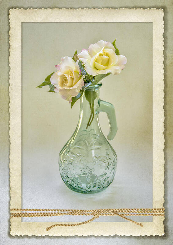 Roses Art Print featuring the photograph Rose Memories 0795 by Cathy Kovarik
